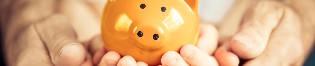 Hand holding piggy bank