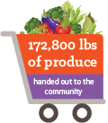 172,800 lbs of produce handed out to the community